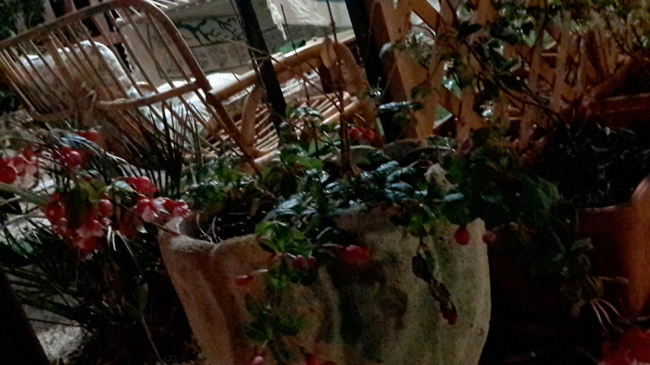 Villa Sul Porto 圣维托罗卡波 外观 照片